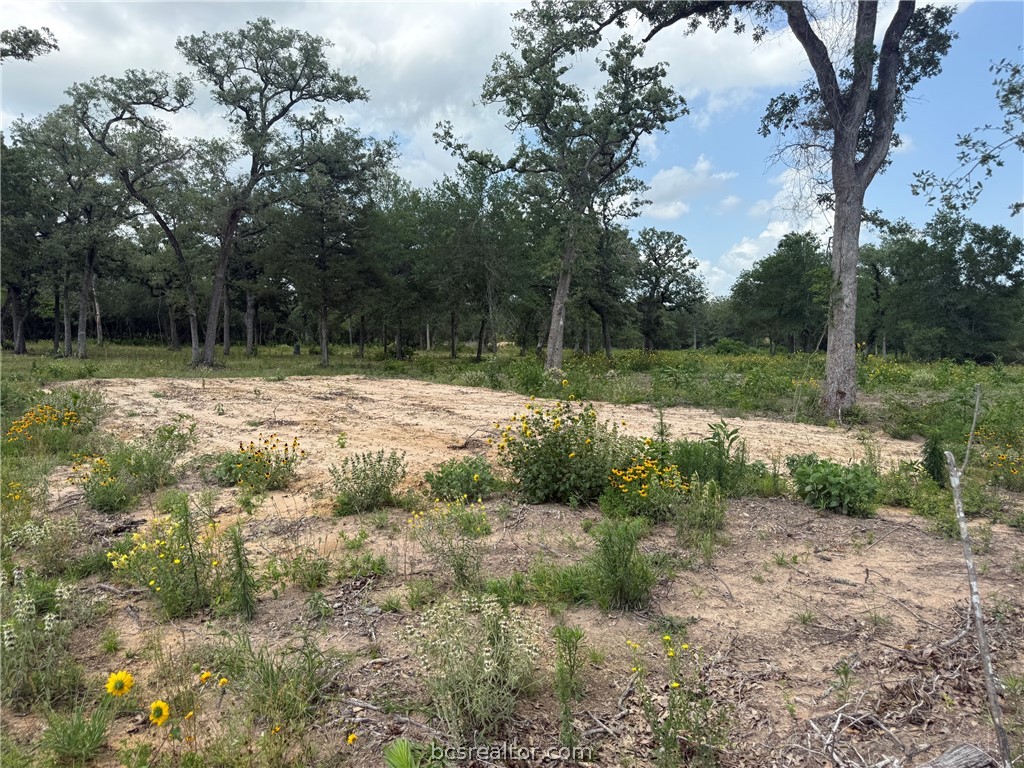 3327 Deer Ledge Property Photo 5
