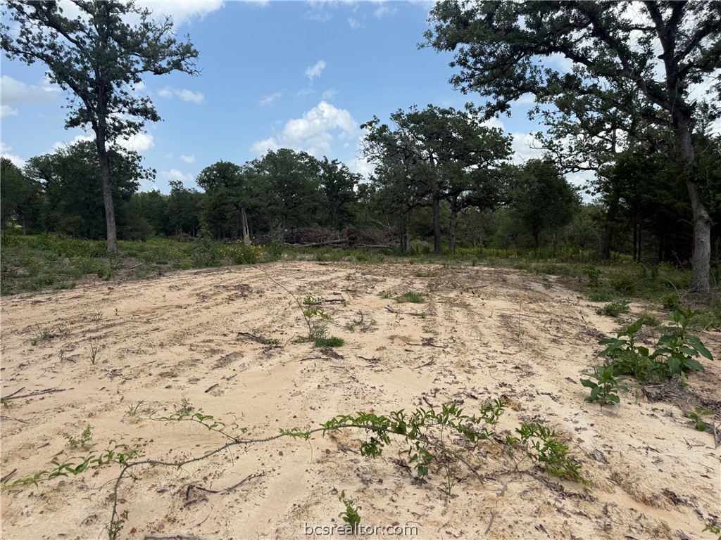 3327 Deer Ledge Property Photo 6