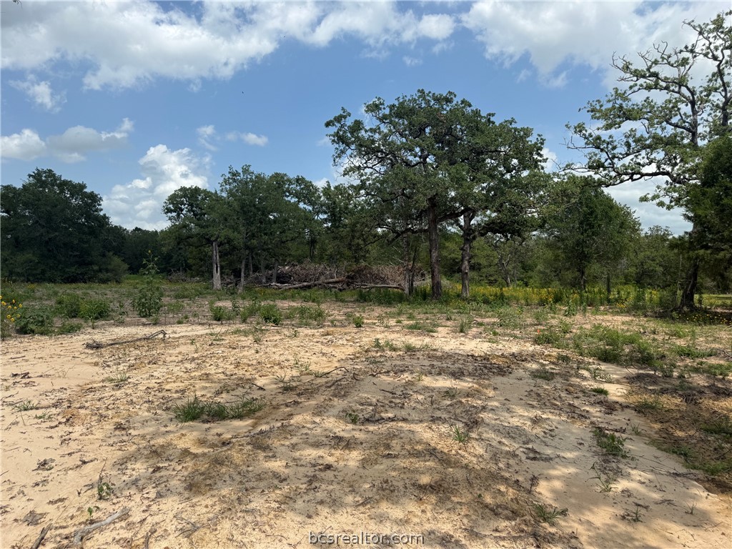 3327 Deer Ledge Property Photo 7