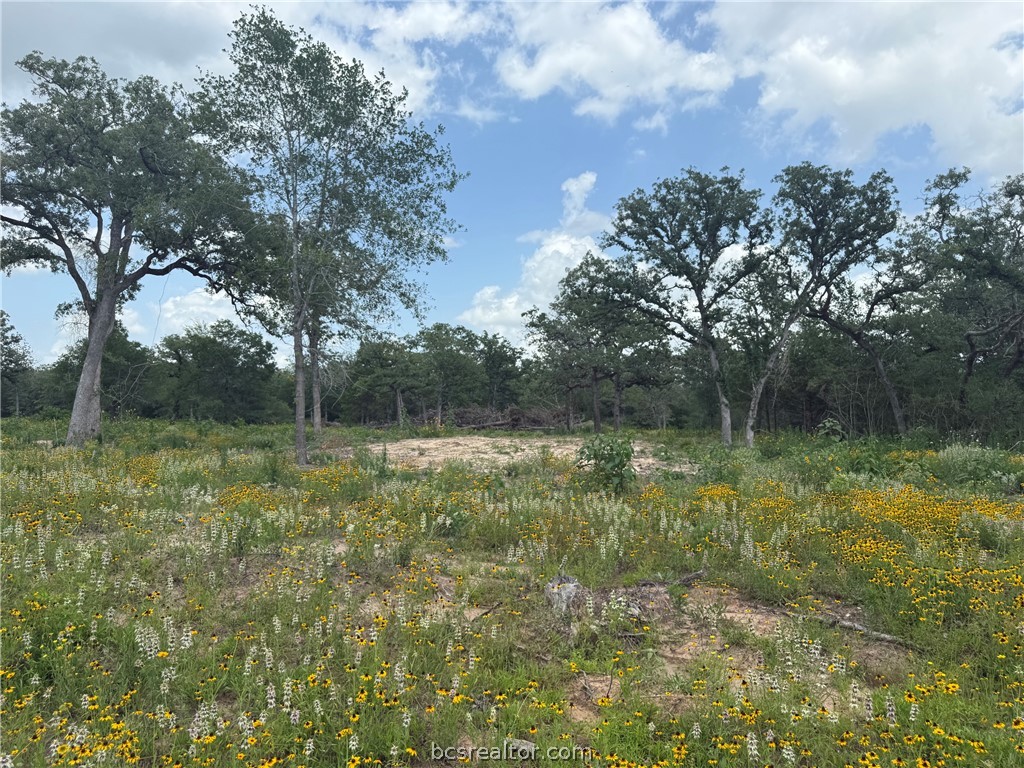 3327 Deer Ledge Property Photo 8