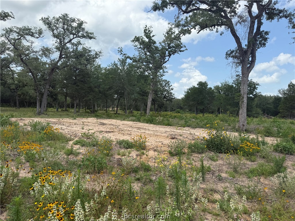3327 Deer Ledge Property Photo 9