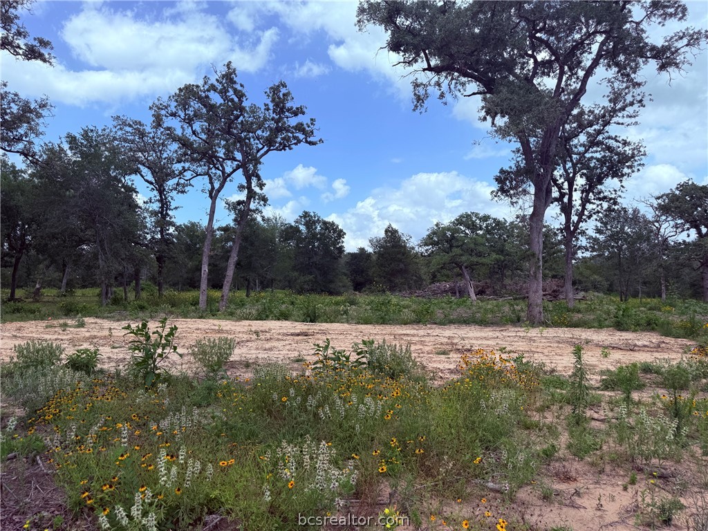 3327 Deer Ledge Property Photo 10