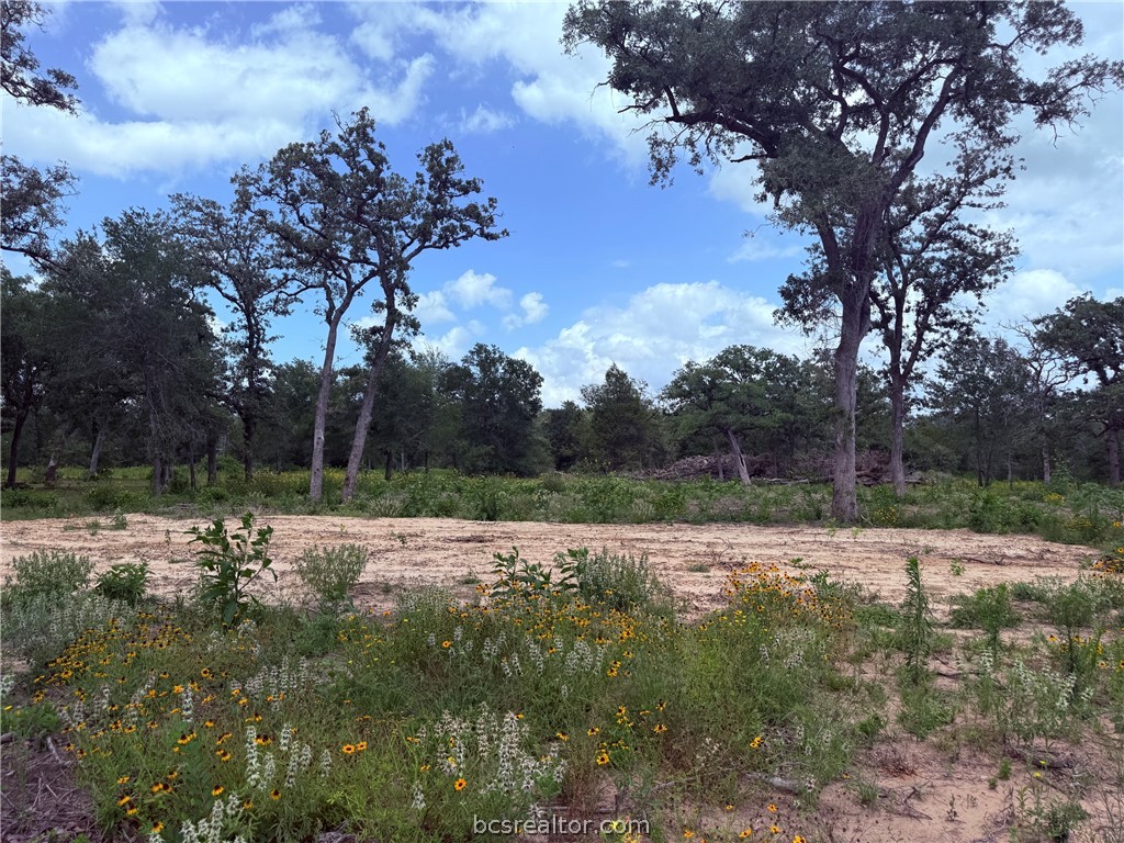 3327 Deer Ledge Property Photo 11