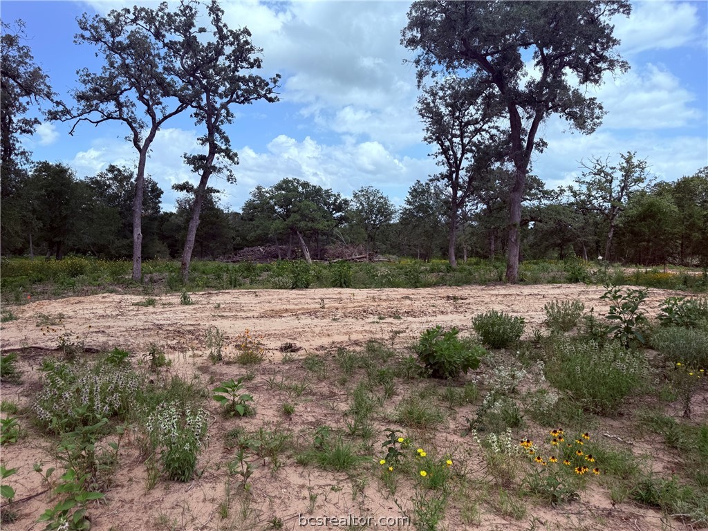 3327 Deer Ledge Property Photo 12