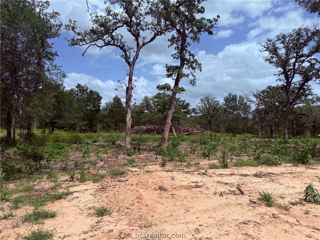 3327 Deer Ledge Property Photo 13