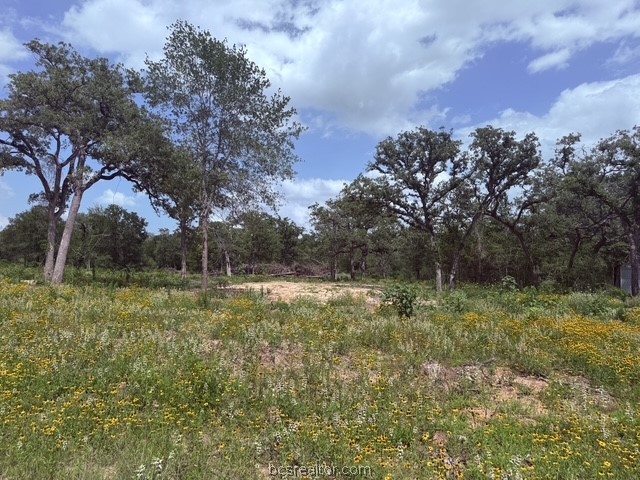 3327 Deer Ledge Property Photo 14