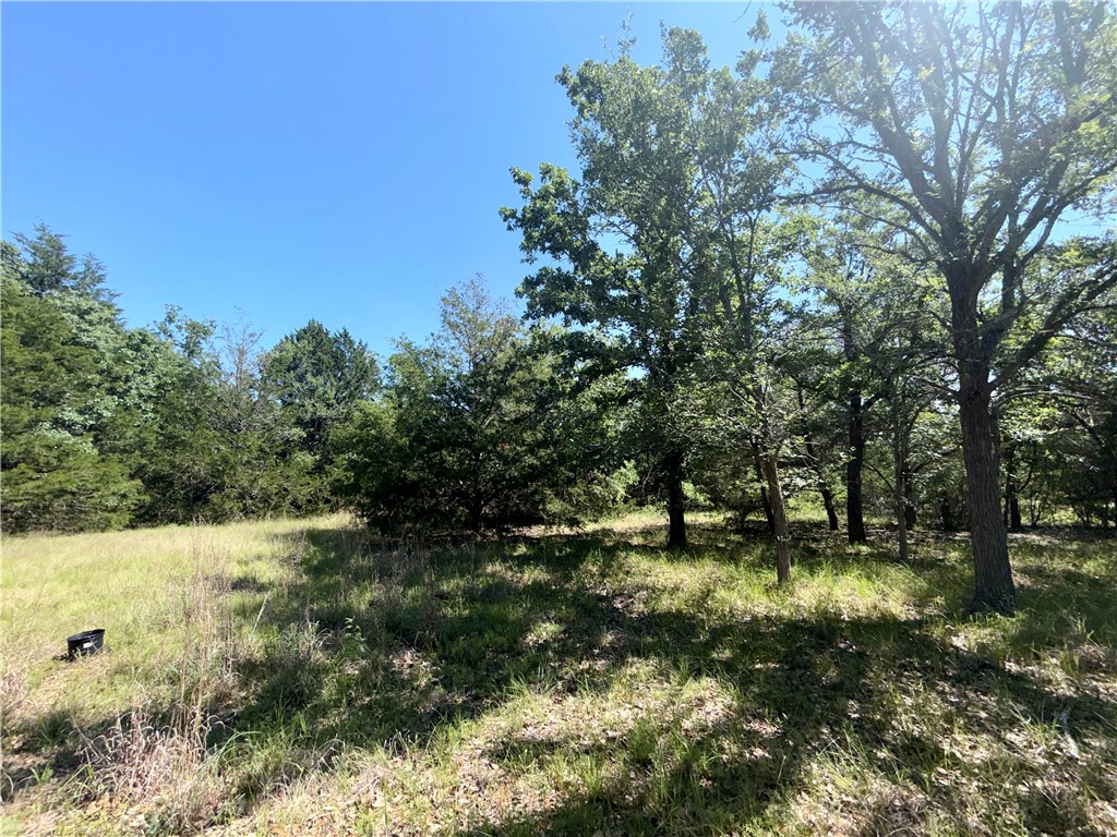 545 Cranberry Road Property Photo 5