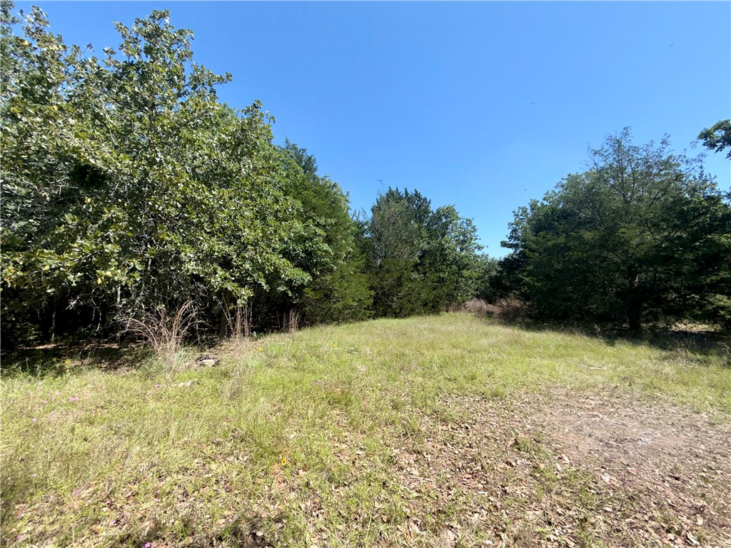 545 Cranberry Road Property Photo 7