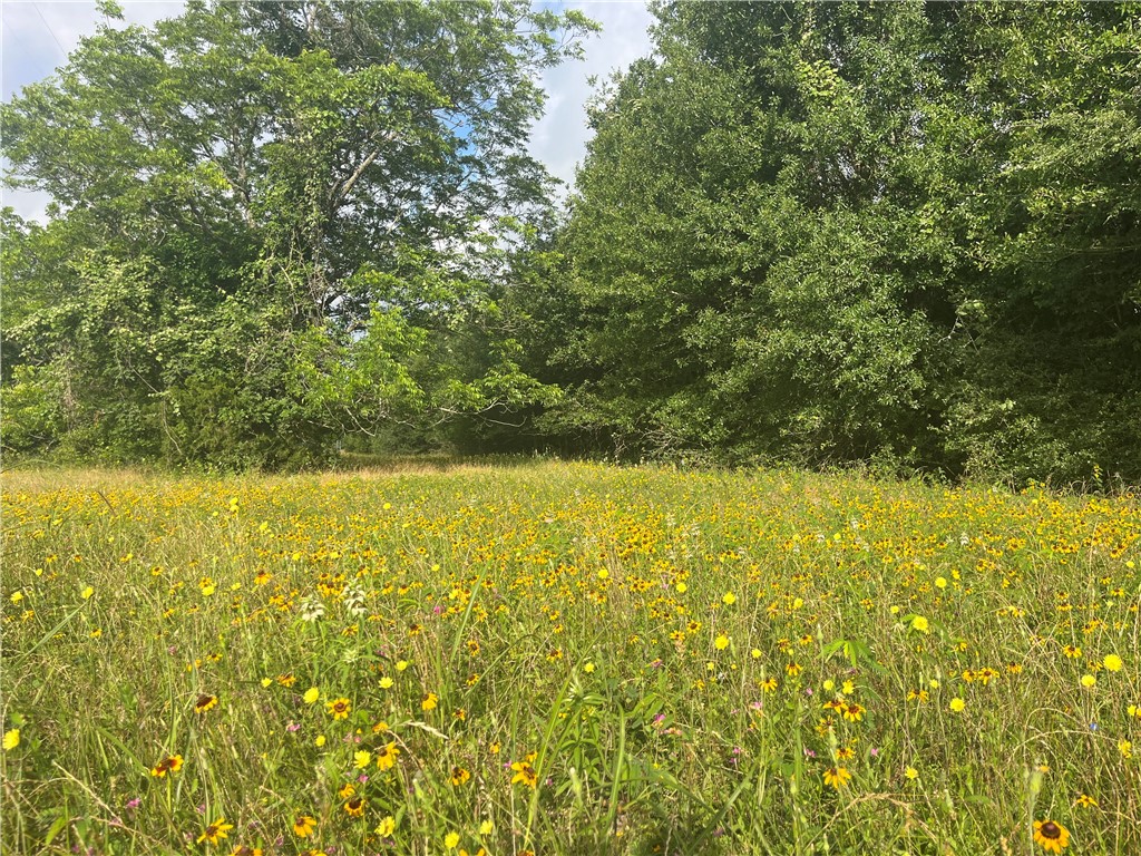 0 State Highway 6 Property Photo 10