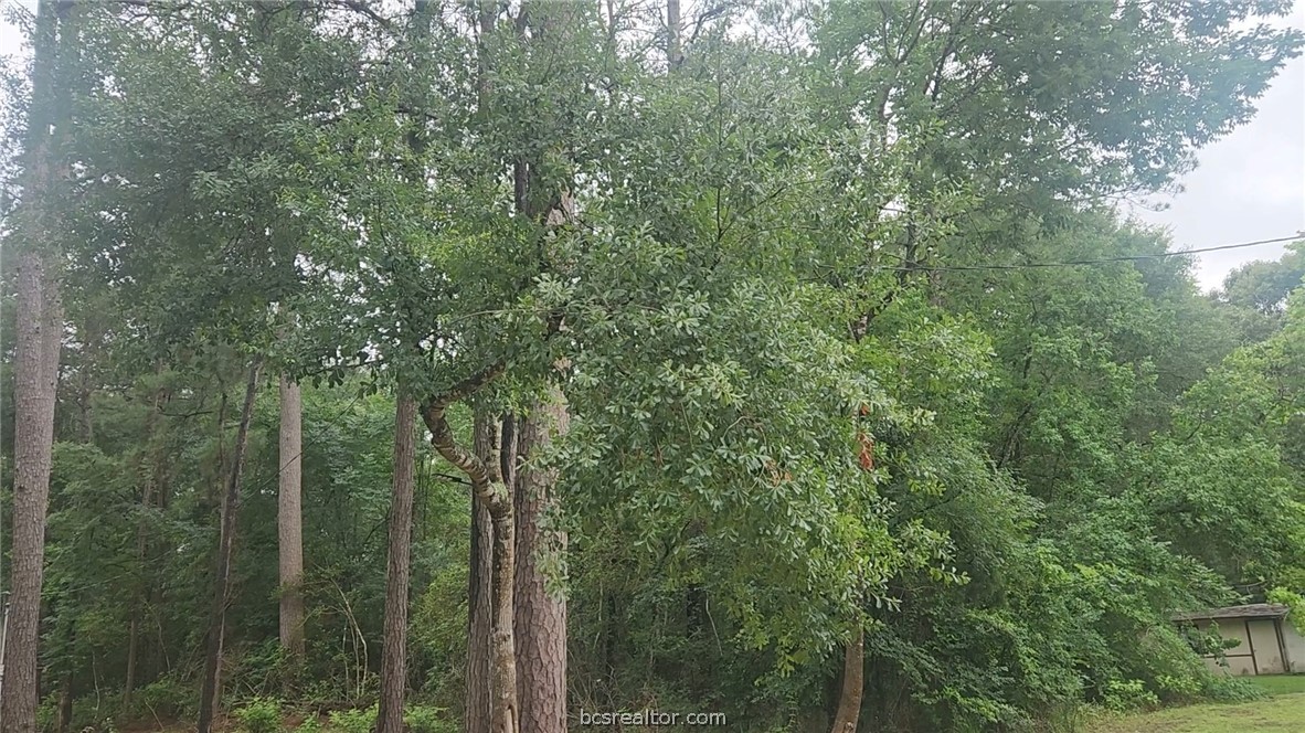 1017 Weeping Willow Drive Property Photo 1