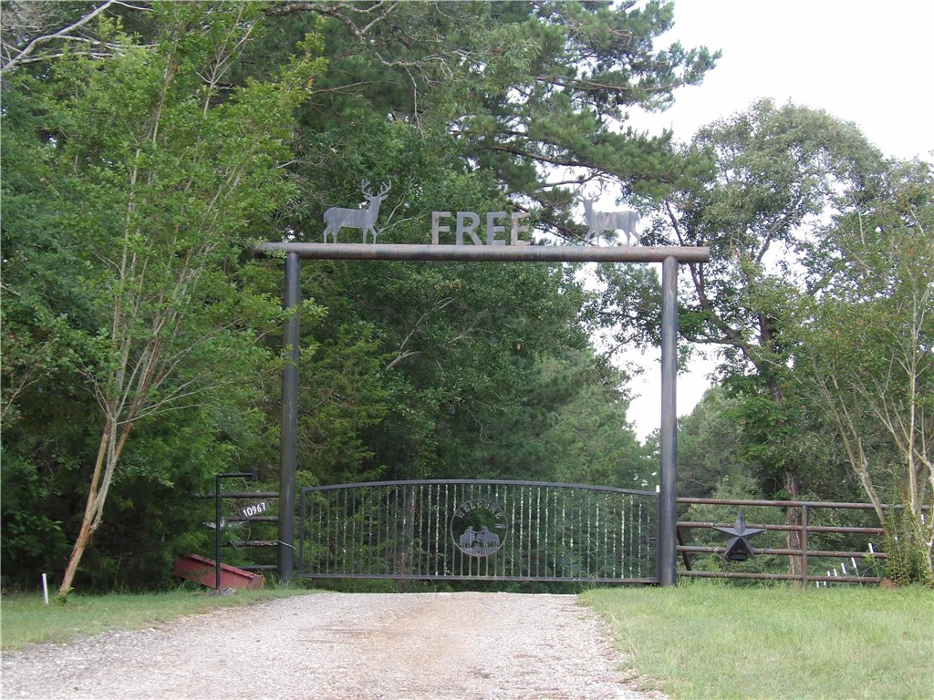 10967 Fm 1486 Road Property Photo 1