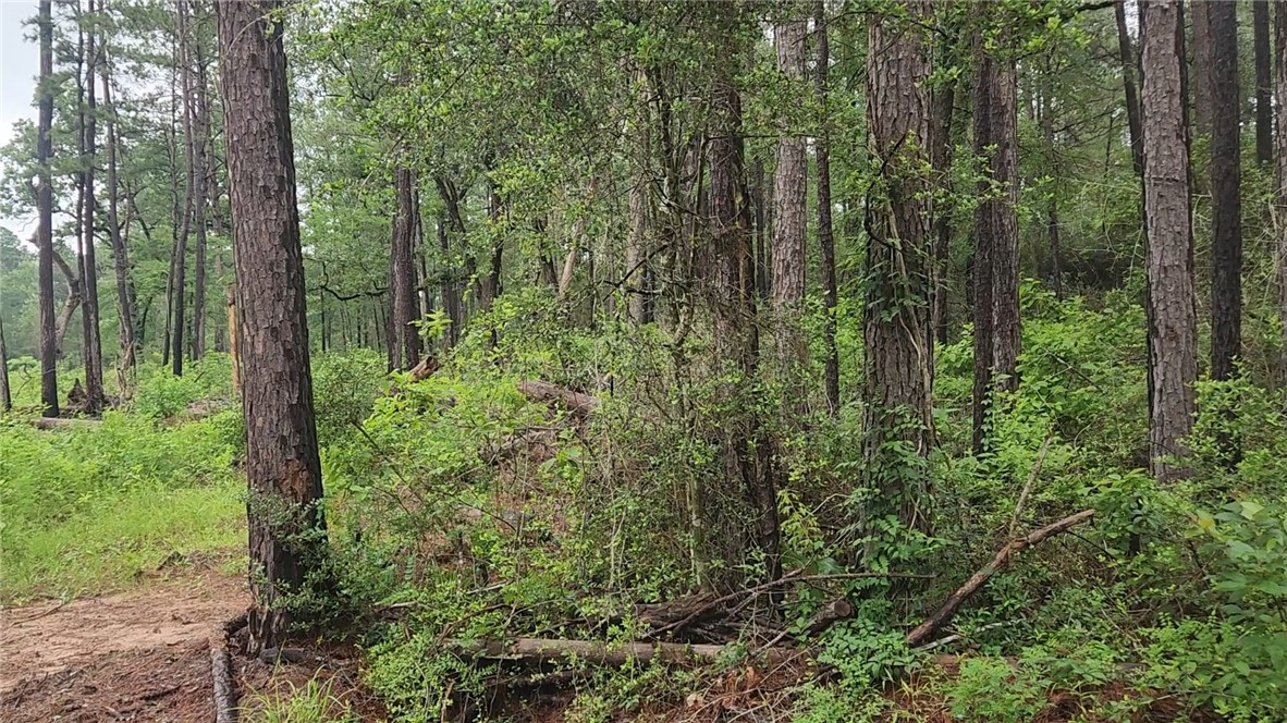Lot 33 Gum Tree Lane Property Photo 1