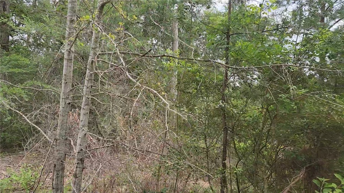 Lot 10 Sweetleaf Lane Property Photo 1