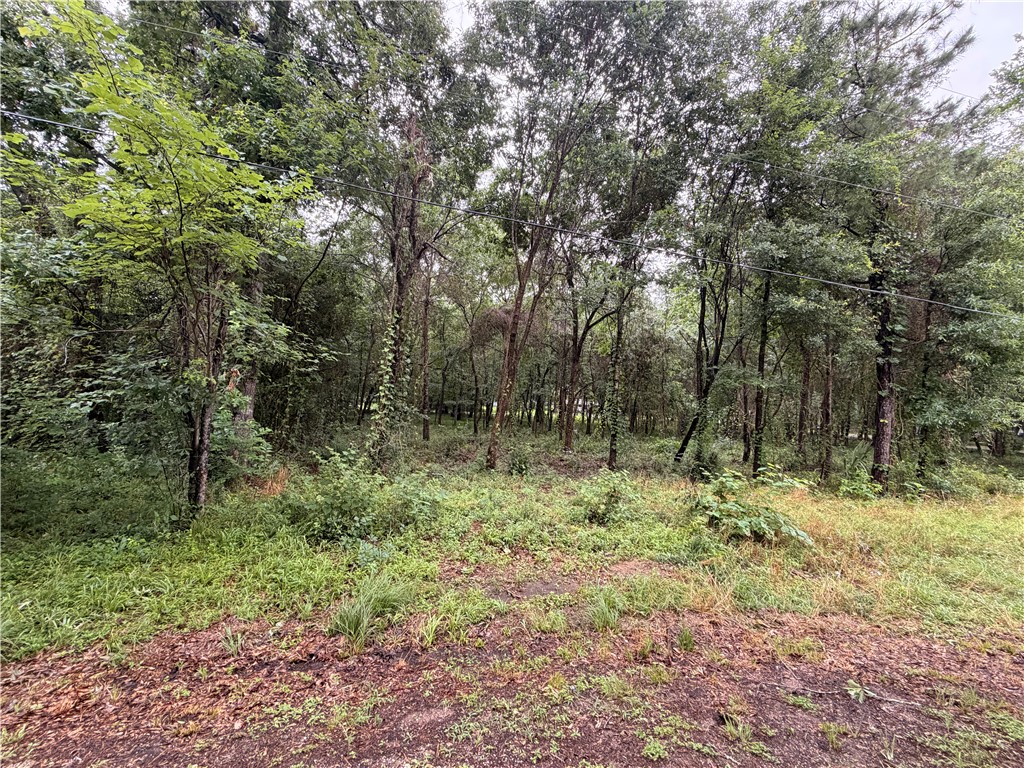 5265 Pecan Tree Lane Property Photo 1
