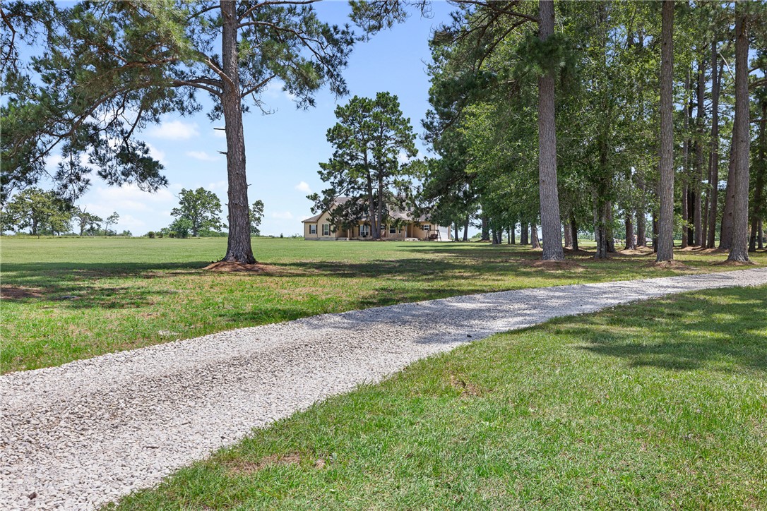 237 Morgan Road County Road Property Photo 1