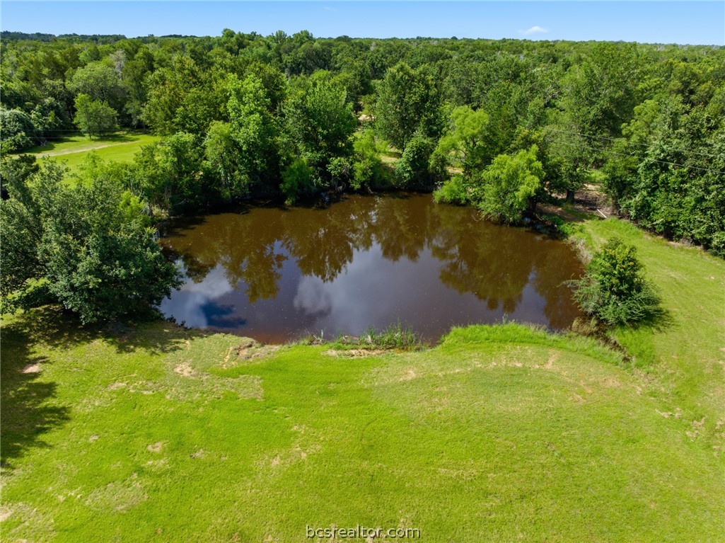 466 Elm Creek Property Photo 36
