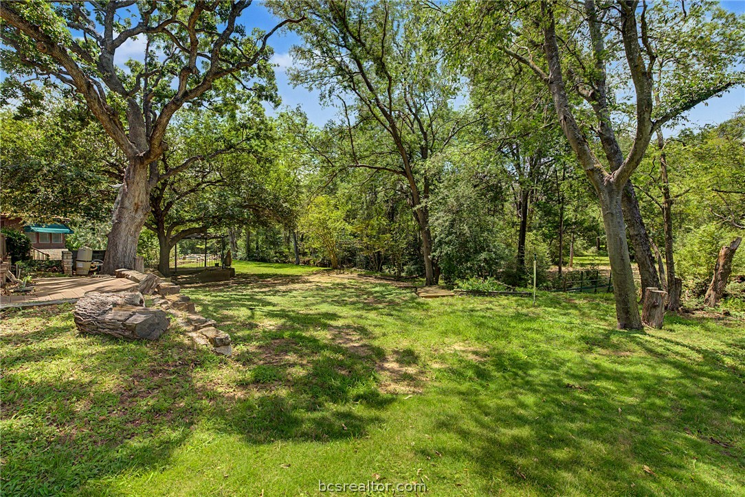 466 Elm Creek Property Photo 41