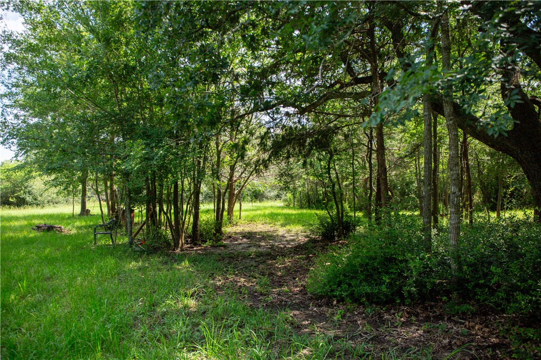5037 Paulo Court Property Photo 2