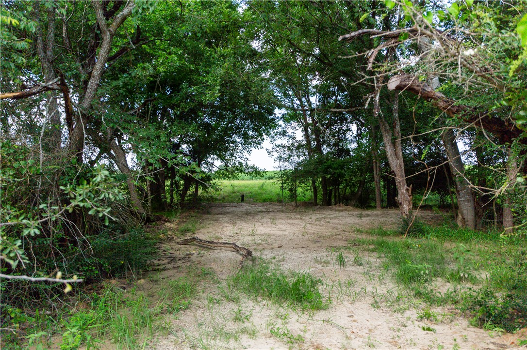 5037 Paulo Court Property Photo 3