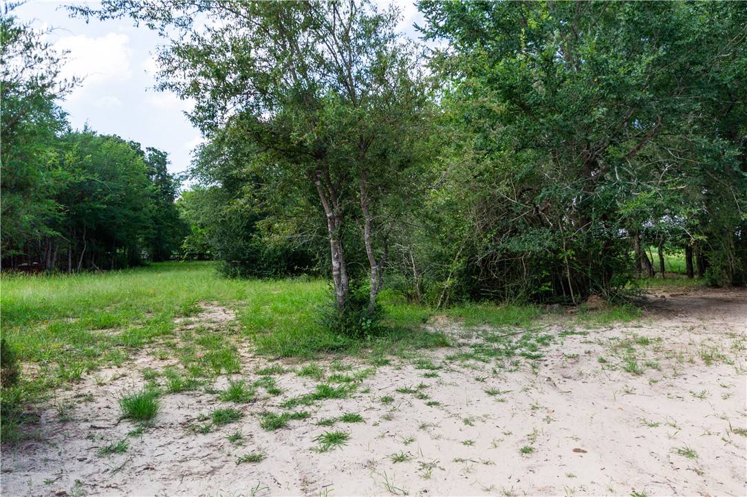 5037 Paulo Court Property Photo 6