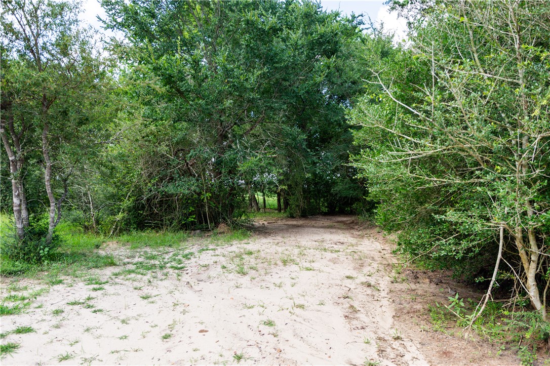 5037 Paulo Court Property Photo 7