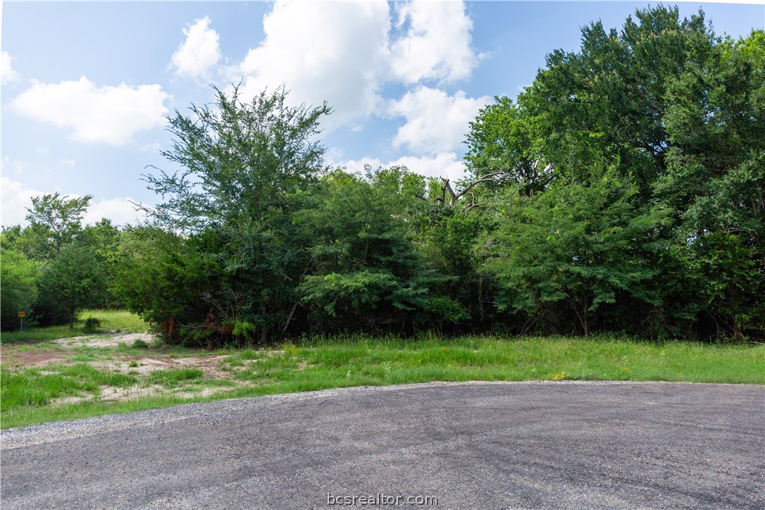 5037 Paulo Court Property Photo 8