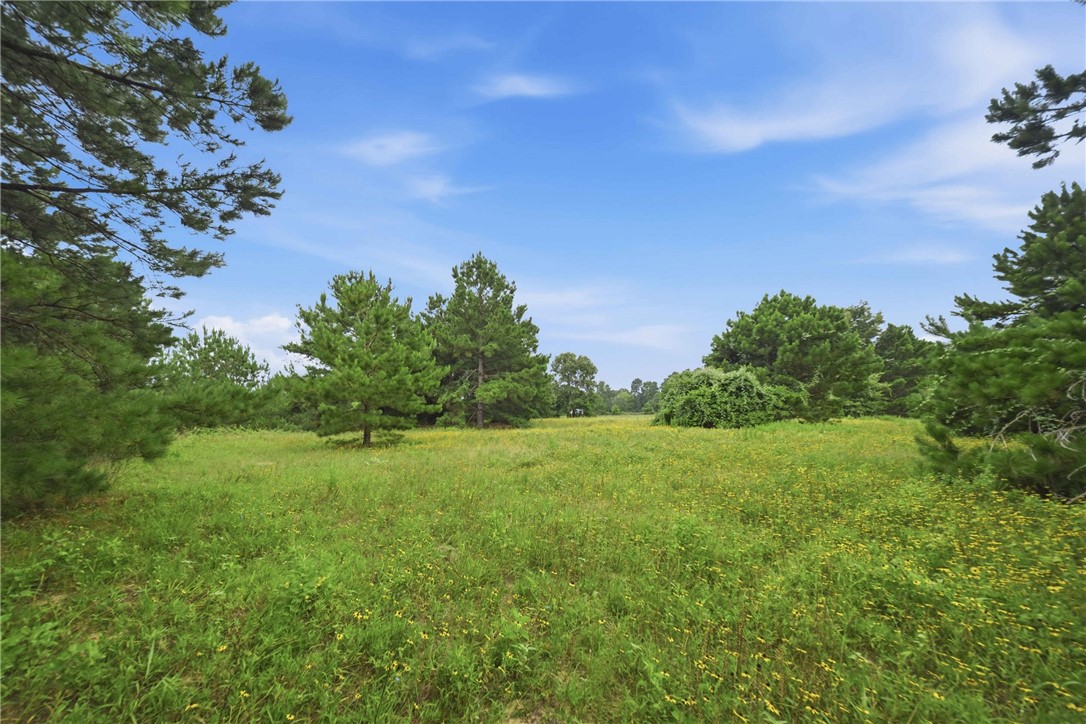 8651 Pr 1230 Property Photo 5