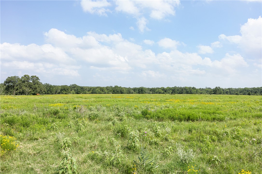 0000 Hopes Creek Road Property Photo 8