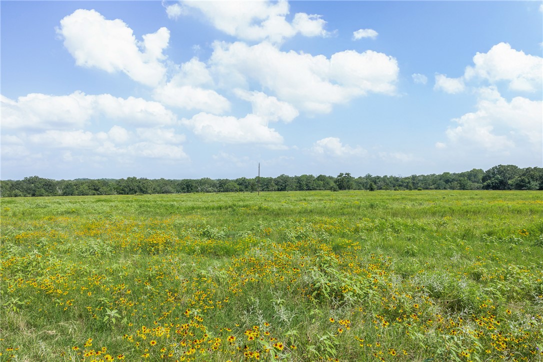 0000 Hopes Creek Road Property Photo 9