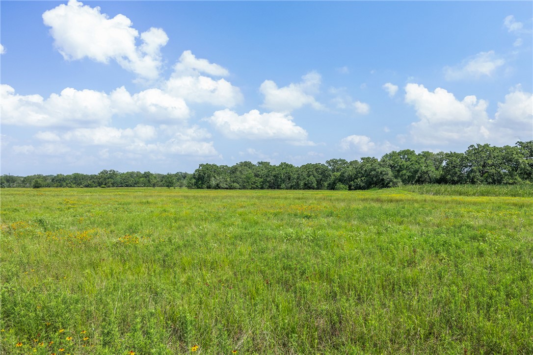 0000 Hopes Creek Road Property Photo 10