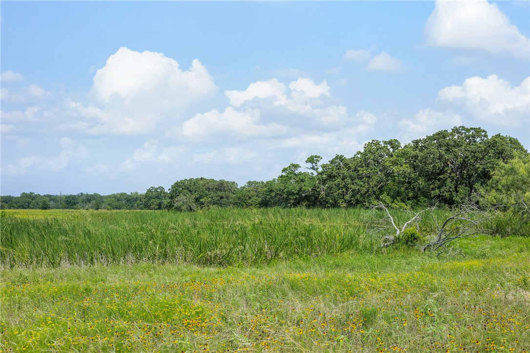 0000 Hopes Creek Road Property Photo 12