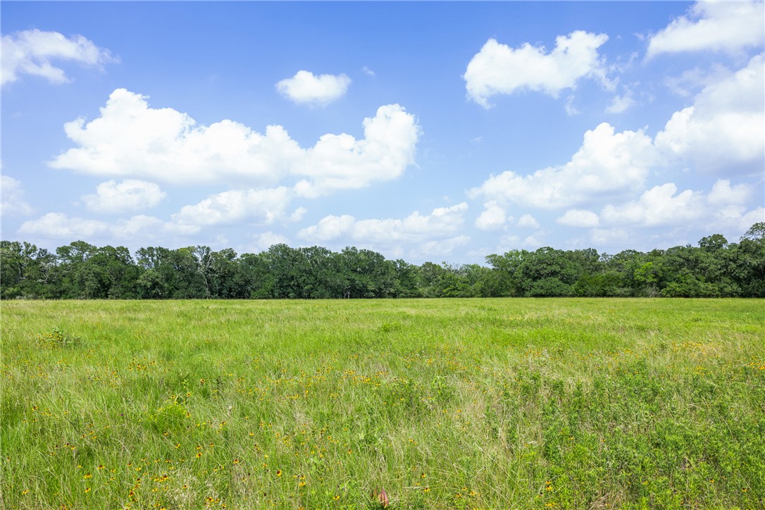 0000 Hopes Creek Road Property Photo 15