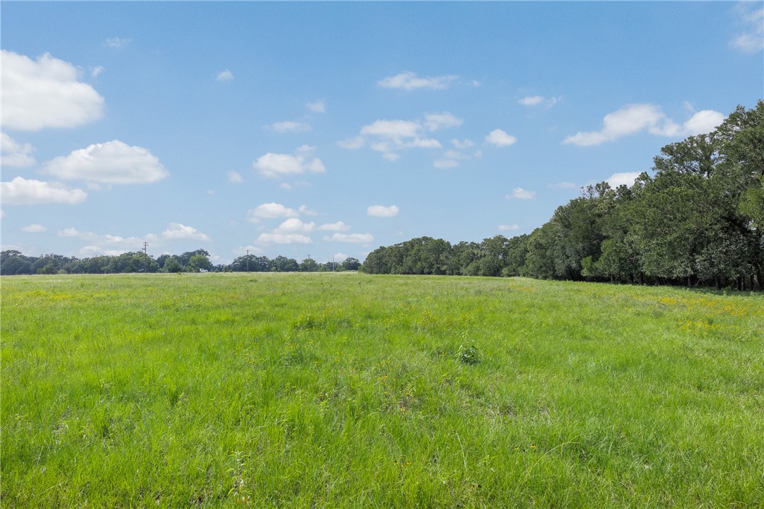 0000 Hopes Creek Road Property Photo 16