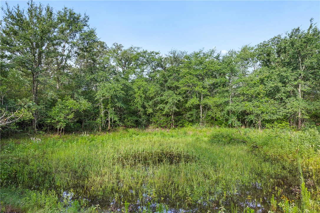 5163 County Road 358 Property Photo 1