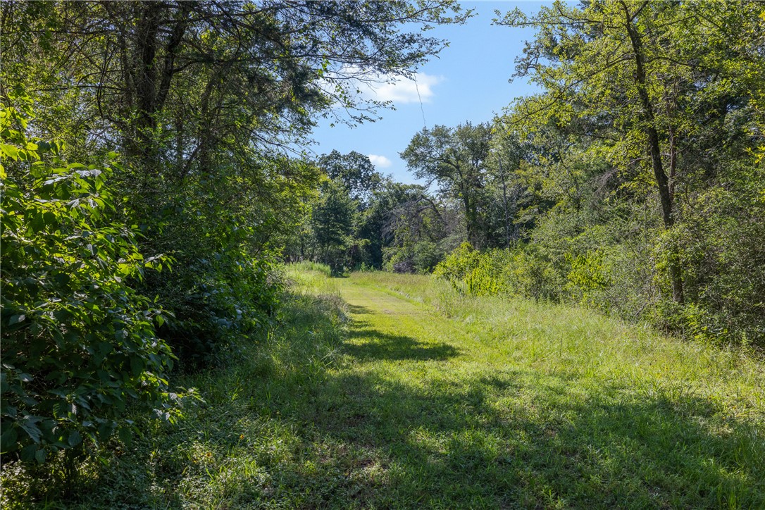 16135 Wilson Pasture Road Property Photo 13