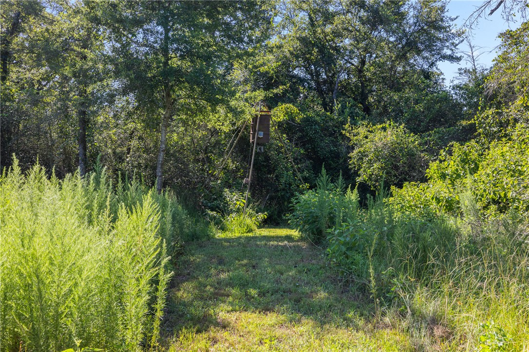 16135 Wilson Pasture Road Property Photo 14