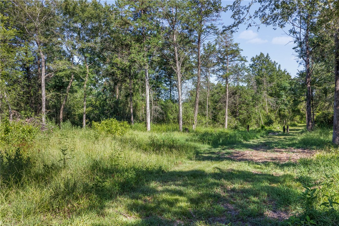 16135 Wilson Pasture Road Property Photo 15