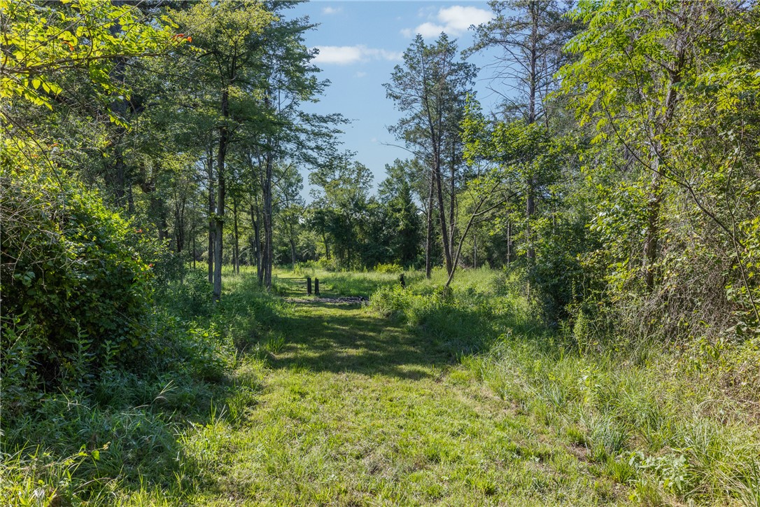 16135 Wilson Pasture Road Property Photo 16