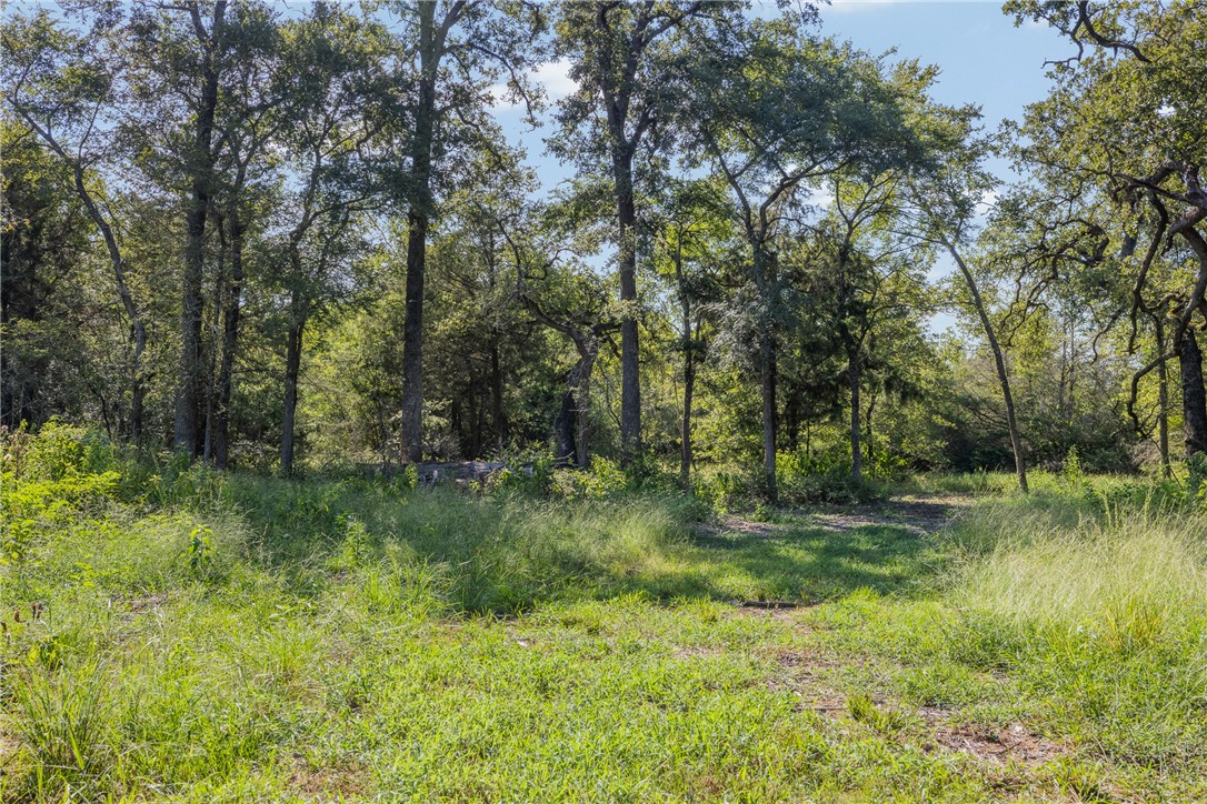 16135 Wilson Pasture Road Property Photo 18