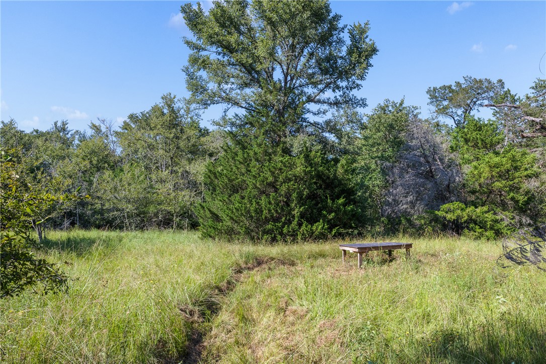 16135 Wilson Pasture Road Property Photo 19