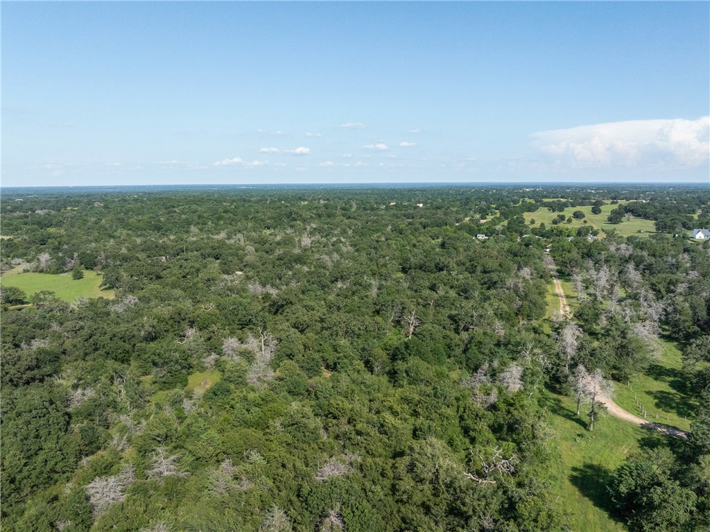 16135 Wilson Pasture Road Property Photo 23