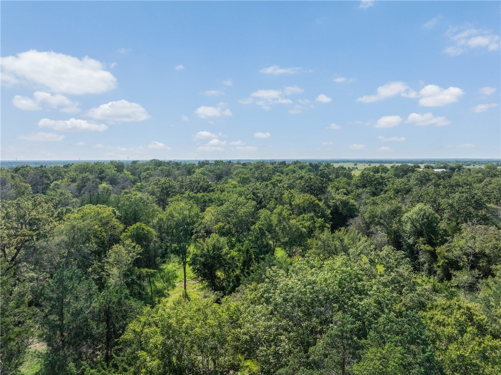 16135 Wilson Pasture Road Property Photo 24