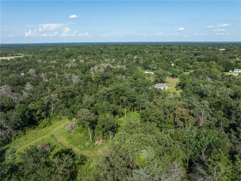 16135 Wilson Pasture Road Property Photo 27