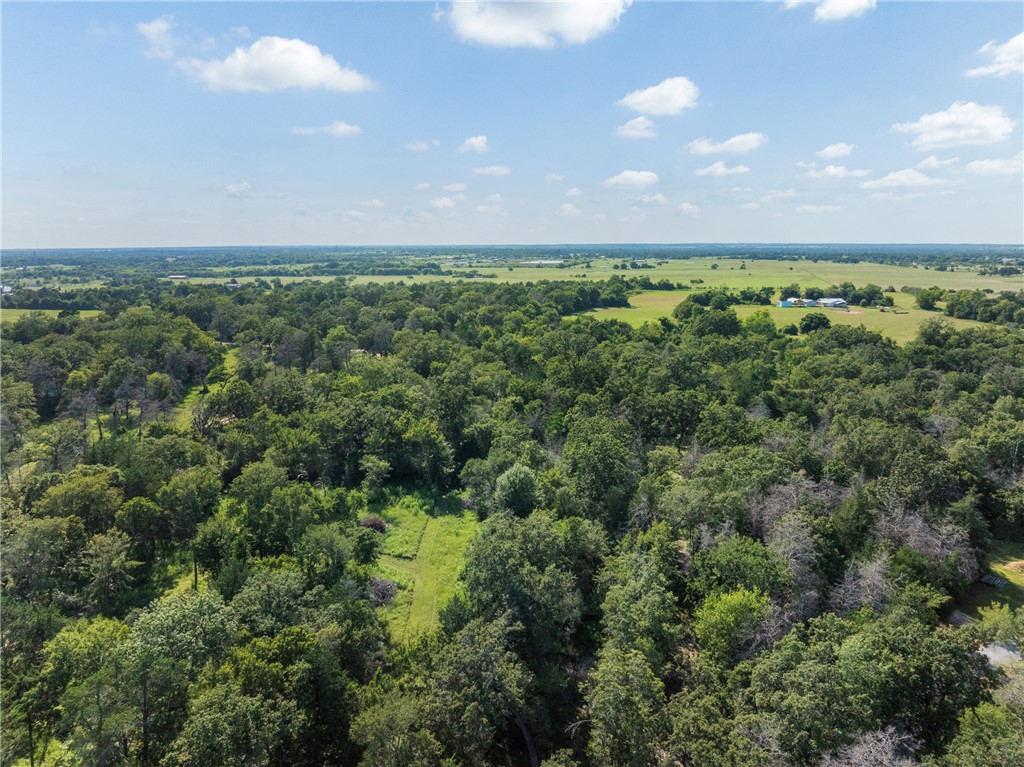 16135 Wilson Pasture Road Property Photo 28
