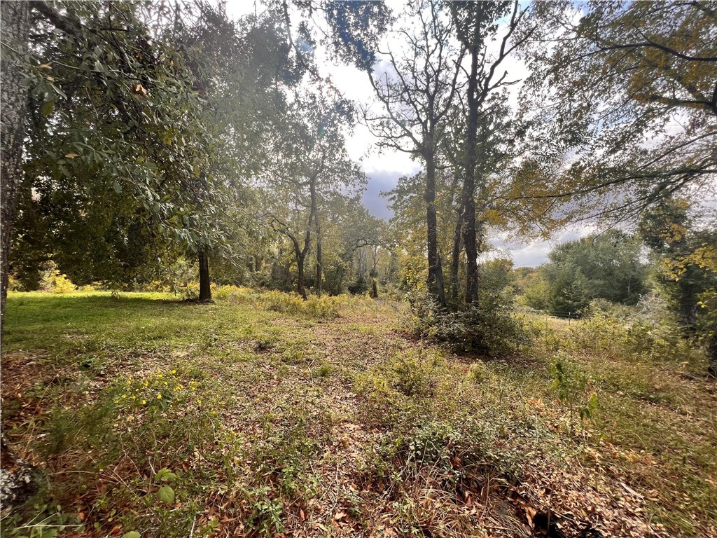 13701 Cr 349 Property Photo 7