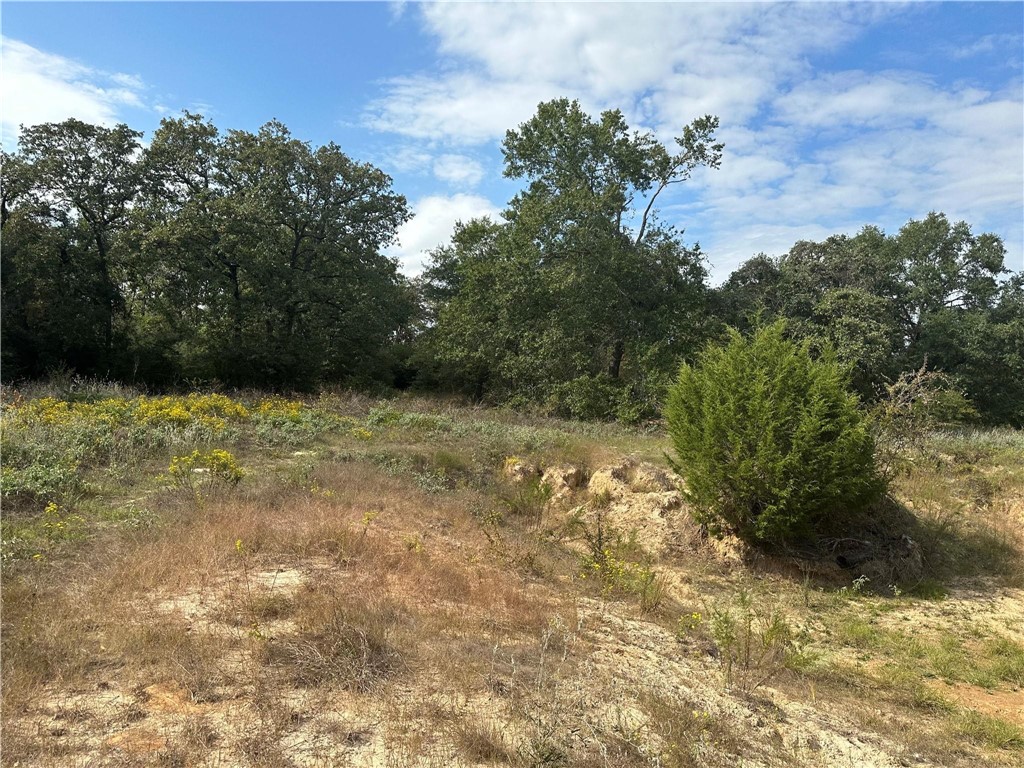 13701 Cr 349 Property Photo 13
