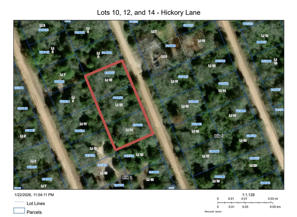 Tbd Hickory Lane Property Photo 3