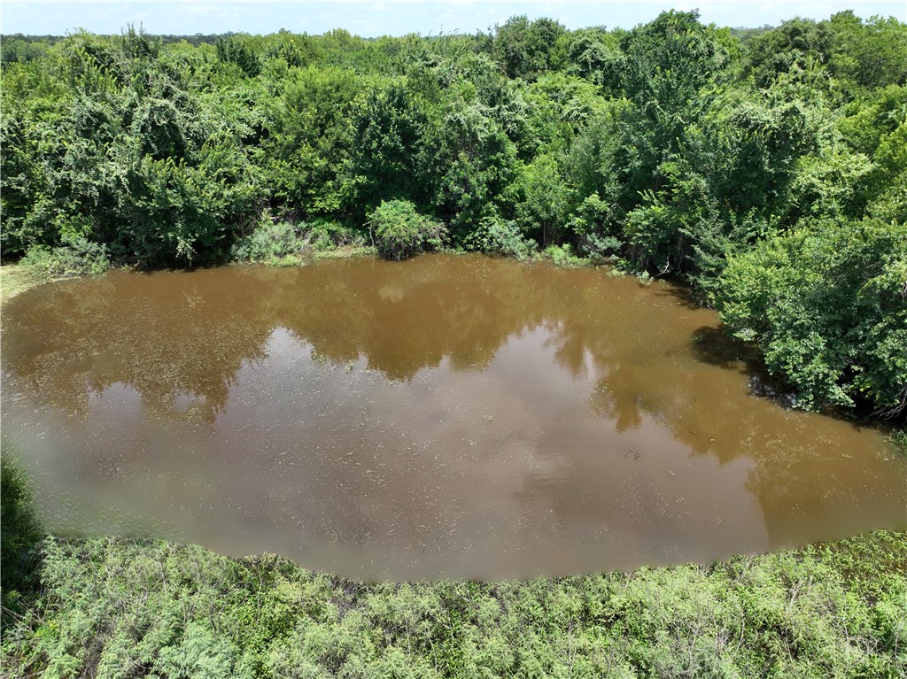 20525 Pickens Property Photo 6