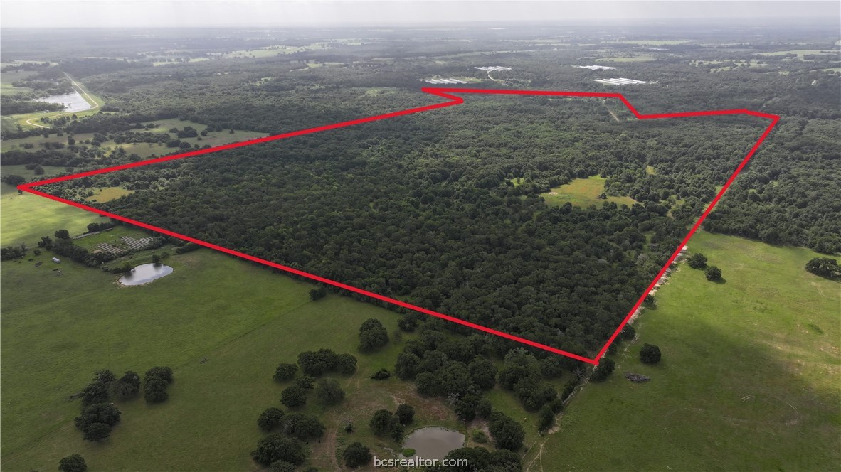 TBD Rose Hill Rd/Pleasant Hill Rd Property Photo 1
