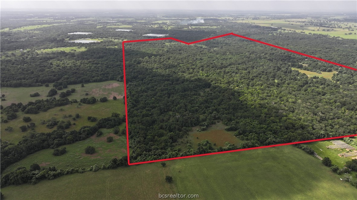 Tbd Rose Hill Rd/pleasant Hill Rd Property Photo 3